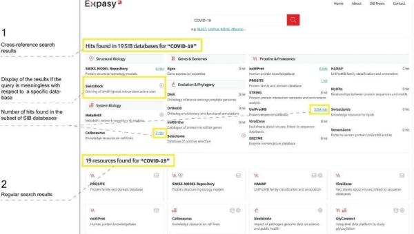 服务器选择攻略:匹配网站 SEO 需求-涣清博客
